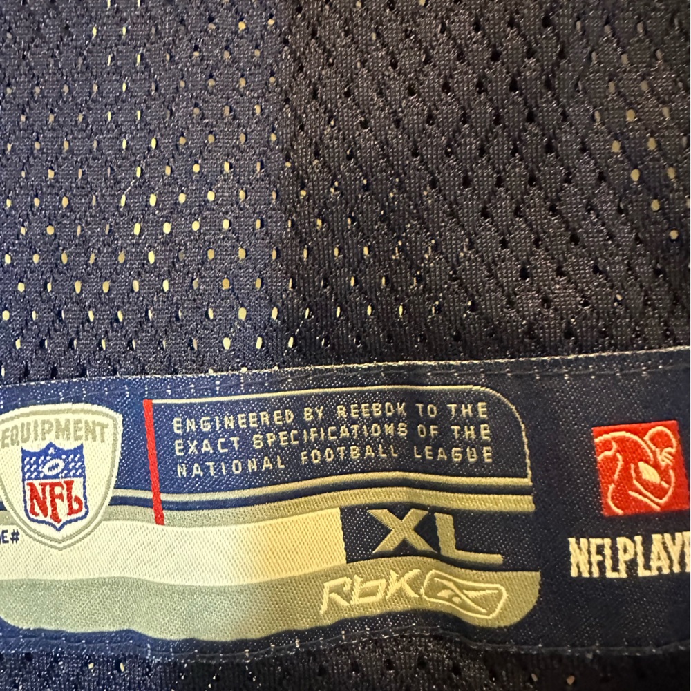 Tennessee Titans Reebok NFL‎ Vince Young #10 Jersey Youth boys XL 18-20 - Picture 5 of 7